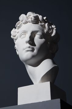 the head and shoulders of a white statue