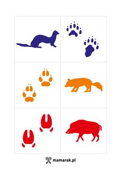 four different colored animals and their tracks in the shape of an animal's paw