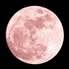 the full pink moon is seen against a black sky