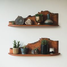 two wooden shelves with plants and rocks on them