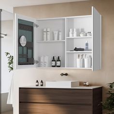 a bathroom with a sink, mirror and shelves on the wall next to a potted plant