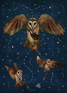 an owl flying through the air with its wings spread out and two other owls below