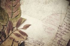 an old letter with leaves on it is laying next to a flower and leafy plant