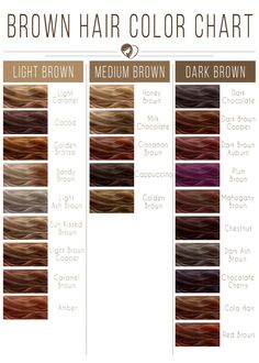 Brown Hair Color Chart To Find Your Flattering Brunette Shade To Try In 2022 ★ Brown Hair Dye Colors Shades, Levels Of Brown Hair Chart, Level 5 Golden Brown Hair, Hair Color Ideas Cinnamon Brown, Brown Shades Of Hair Color, Brown Colors For Hair, #30 Hair Color, Dyed Hair Light Brown, Dyed Brown Hair Ideas