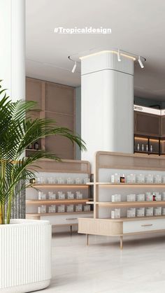 an empty pharmacy room with plants in the foreground and shelves full of medical supplies