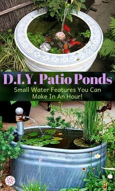 an outdoor pond with plants in it and the words, diy patio pools small water features you can make in an hour