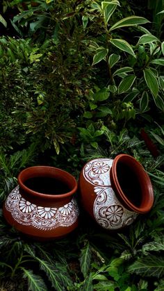 two brown and white vases sitting on top of green leaves in the grass next to bushes