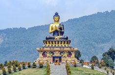 a large golden buddha statue sitting on top of a lush green field next to a mountain