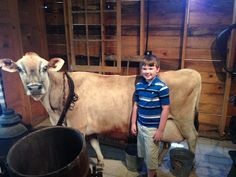 a young boy standing next to a brown cow in a wooden room filled with barrels