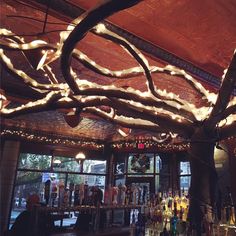 the bar is decorated with lights and branches