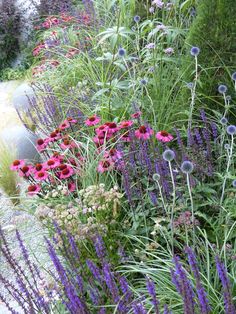 a garden filled with lots of purple and red flowers