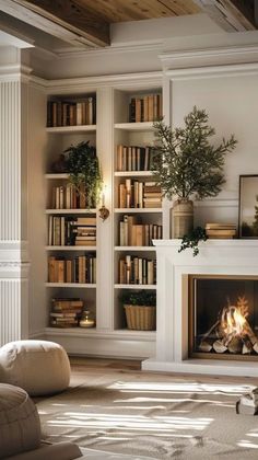 a living room filled with furniture and a fire place in front of a bookshelf