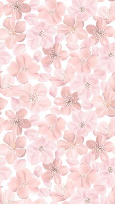 pink flowers on a white background with lots of petals in the shape of an apple blossom