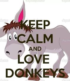 a donkey with the words keep calm and love donkeys