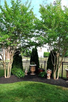 an outdoor garden with trees and potted plants