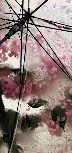 an umbrella with pink flowers on it is seen through the raindrops in this image