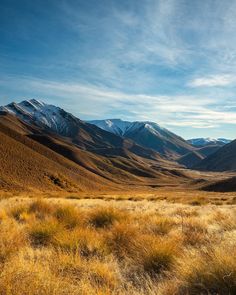 the mountains are covered with snow and brown grass in the foreground is an open field