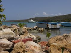 two boats are docked in the water next to some rocks and plants on the shore