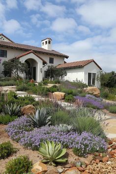 a house with lots of plants and rocks in the front yard, including succulents