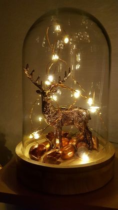 a lighted deer under a glass dome on a table