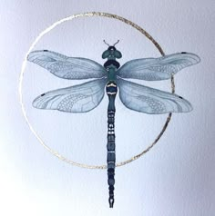 a blue dragonfly sitting on top of a circular object in the middle of a white wall