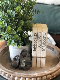 a potted plant sitting on top of a wooden tray next to two bookends