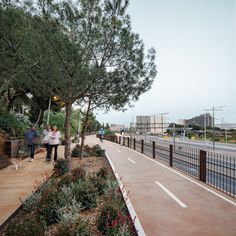 two people walking down a sidewalk next to a tree