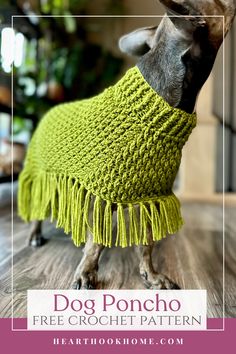 a small dog wearing a green sweater with fringes on it's back and the words, dog poncho free croche pattern