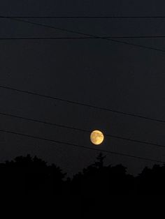 #fullmoon #moon #yellow #black #dark #night #evening #peaceful #aesthetic #tree #nature #mood #calm Dark Night Moon Aesthetic, Full Moon Aesthetic Dark, Yellow Moon Aesthetic, Yellow Dark Aesthetic, Sun Core, Moon Widget, Night Moon Aesthetic, Pin Keywords, Grey Mood