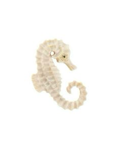 a seahorse is shown against a white background