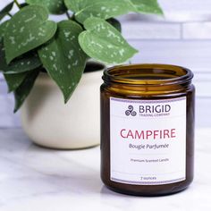 a jar of campfire candle next to a potted plant