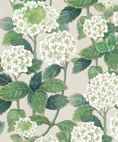 a painting of white flowers and green leaves on a gray wallpapered background,