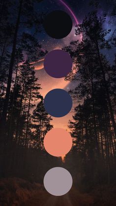 an image of the planets in the sky with trees and grass around it, as well as four different colors