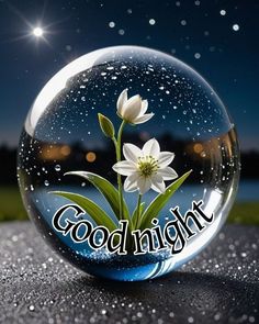 there is a glass ball with flowers in it that says good night on the inside