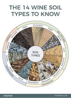 An Illustrated Guide to the Most Important Wine Soil Types - VinePair For those of us without a geology degree, VinePair created a helpful illustrated guide for an overview of the many soil types worldwide. Soil Types, Wine Expert, Wine Education