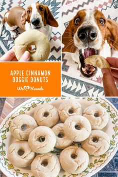 there is a collage of pictures with dogs and donuts in them, including an apple cinnamon doughnuts