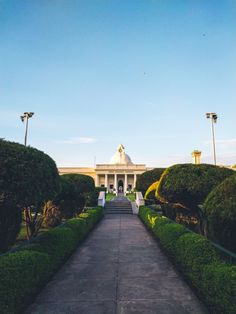 a walkway leading to a white building surrounded by hedges