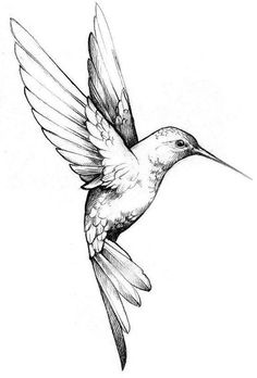 Mockingbird Tattoo, Hummingbird Flower Tattoos, Hummingbird Drawing, Henne Tattoo, Tattoo Dotwork, Hummingbird Art, Tattoo Feminina, Birds Tattoo