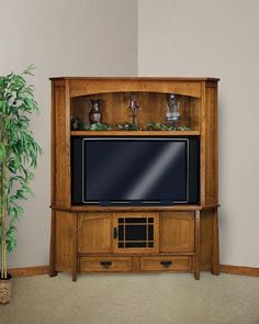 an entertainment center with a television and potted plant in the corner, on carpeted floor