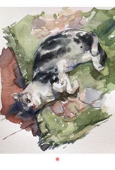 a watercolor painting of a cat laying on the ground