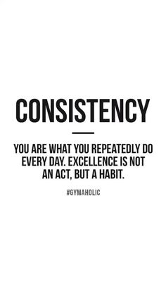 a quote that says, you are what you repeatedly do every day excellence is not an act but a habit