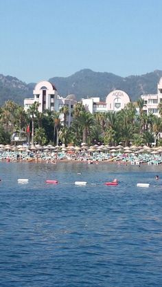 the beach is lined with umbrellas and lounge chairs in front of some palm trees