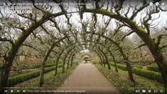 an image of a garden with trees and flowers in the background, taken from inside one of the archways