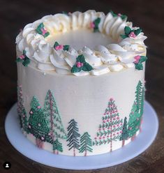 a decorated christmas cake on a white plate