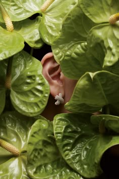 a close up of a person's ear surrounded by green leafy plant life