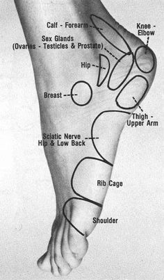 Bolesti Chrbta, Reflexology Chart, Reflexology Massage, Foot Reflexology, Trening Fitness, Sciatic Nerve, Foot Massage, Pressure Points, Reflexology