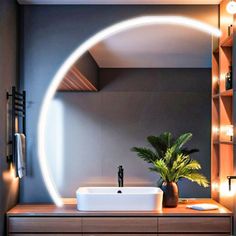 a bathroom with a sink, mirror and plants on the counter in front of it