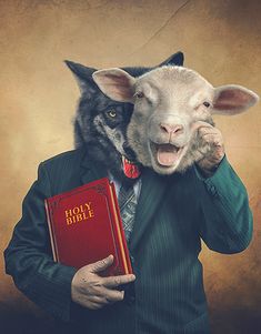 WOLF IN SHEEP SKIN Bible Images, Bible Pictures, Christian Pictures, Biblical Art, Jesus Art