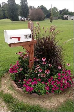 a mailbox sitting in the middle of a flower bed