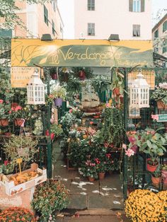 an outdoor market with lots of plants and flowers